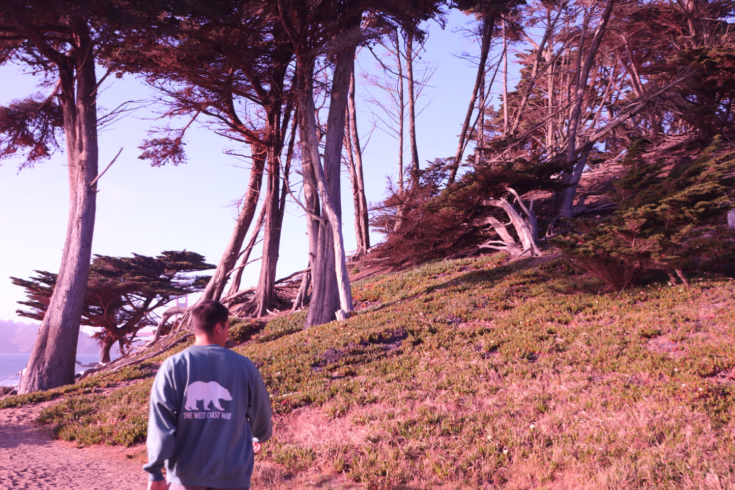California Bear Crewneck