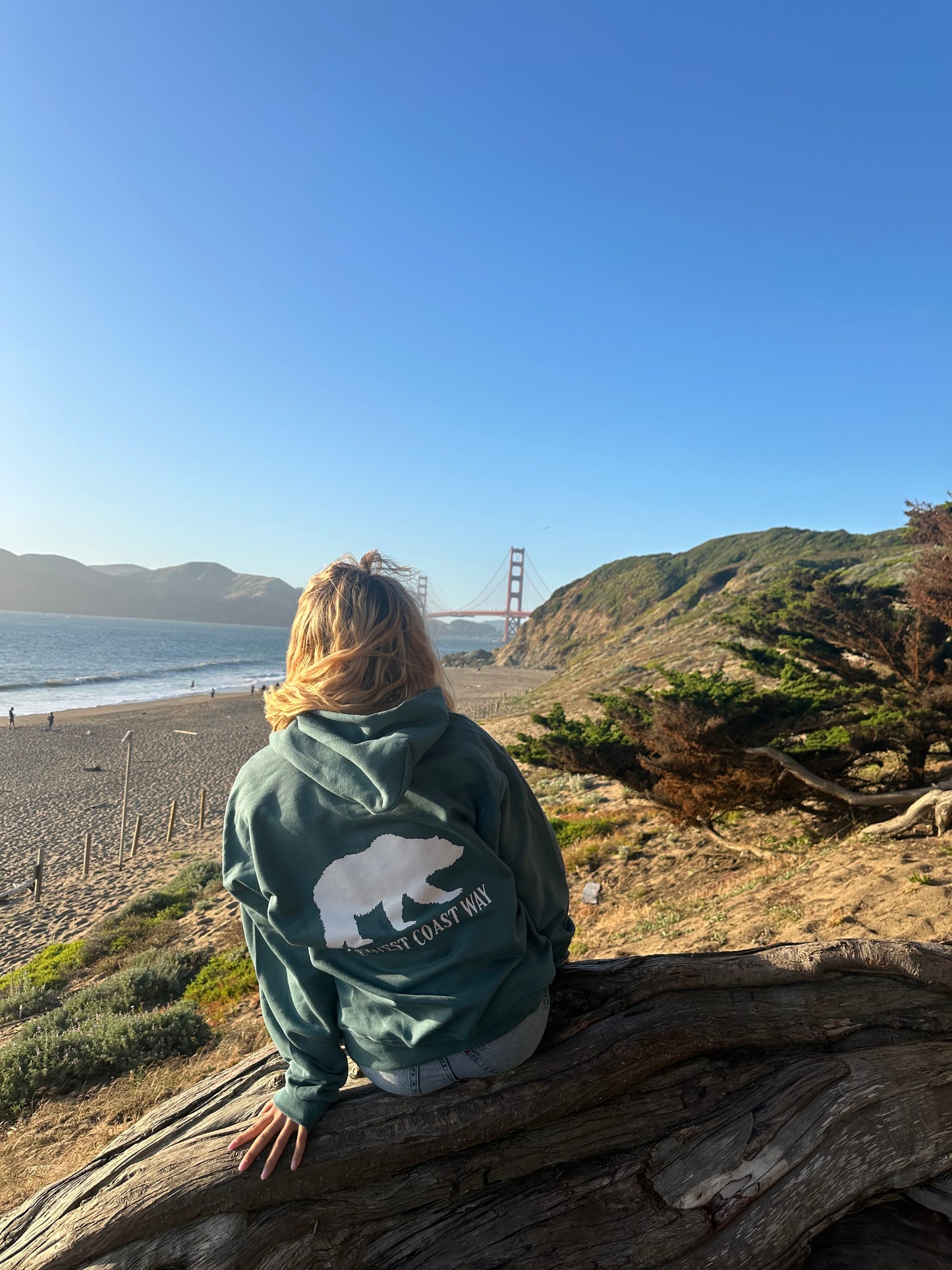 California Bear Sweatshirt