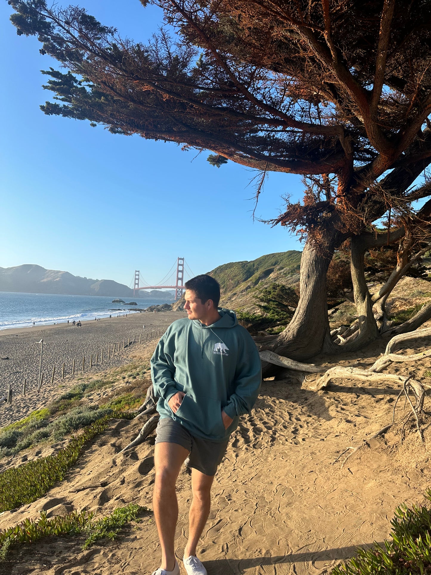 California Bear Sweatshirt